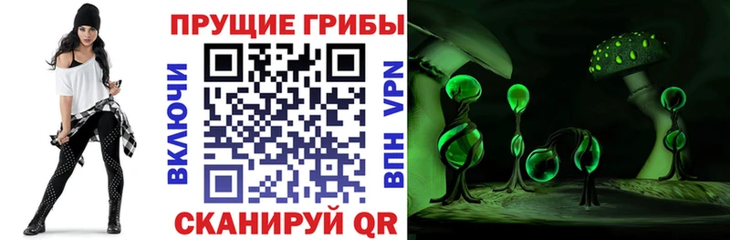 МЕГА ТОР  Козловка  Галлюциногенные грибы MAGIC MUSHROOMS 